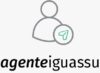 Agente Iguassu